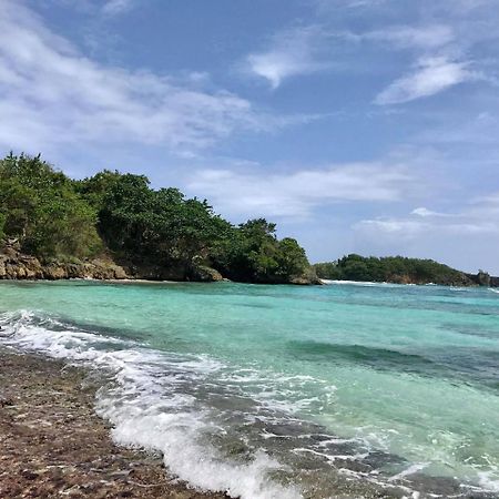 Nature In Portland Port Antonio Exterior photo