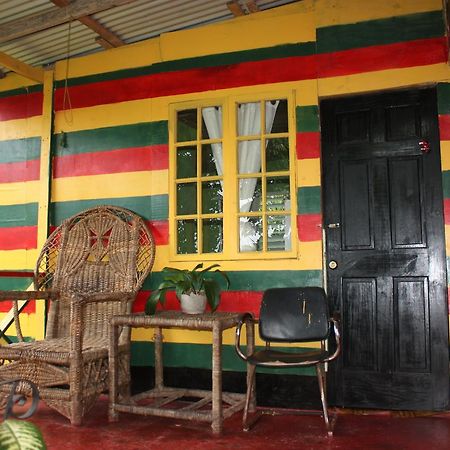 Nature In Portland Port Antonio Exterior photo