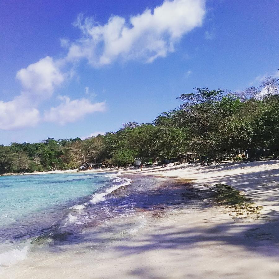 Nature In Portland Port Antonio Exterior photo